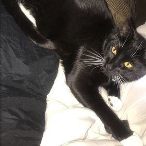 Meet your Posher, Juan